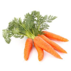 Zanahoria
