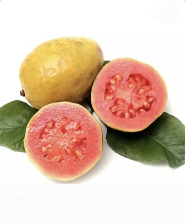 Guayaba por Lb