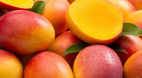 Mango por LB