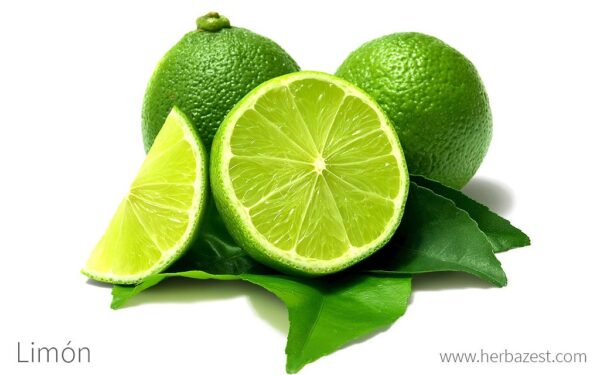 Limón por Lb