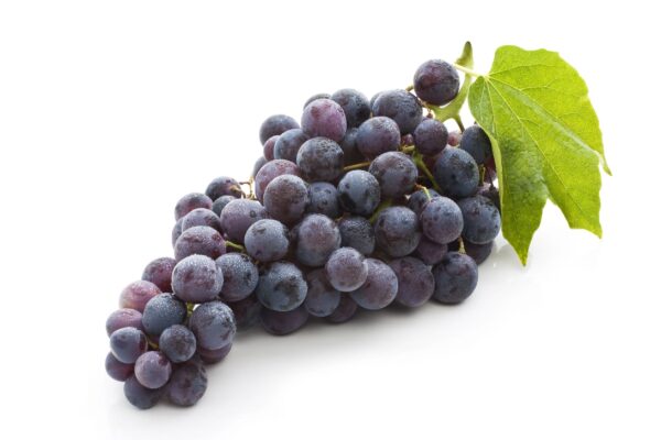 Uvas por Lb