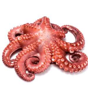Pulpo