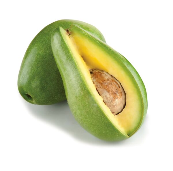 Aguacate