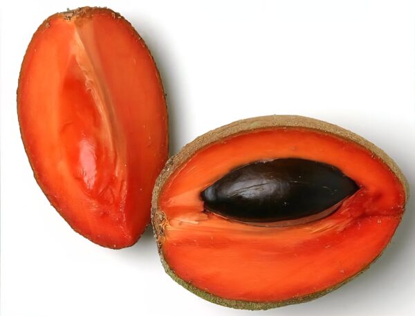 Mamey