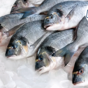 Pescado